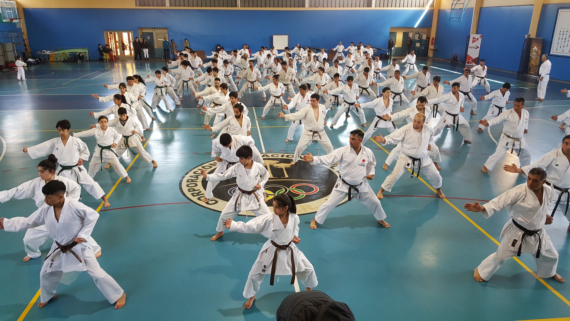 Detalles De La Práctica Del Karate Jka Chile
